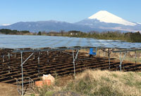 Shizuoka 
Agriculture Greenhouse0